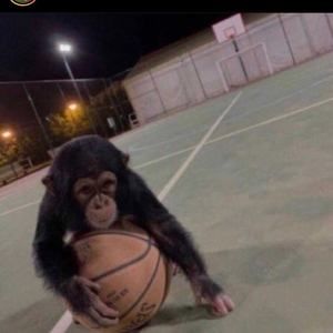 Meet your Posher, Jaden